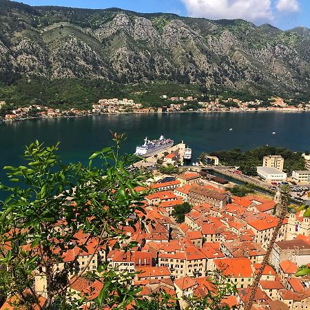 Apartment Maritimo Kotor Eksteriør billede